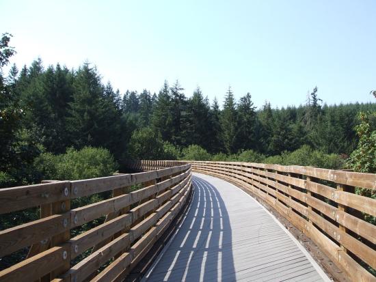 A view of the top of Buxton Trestle.