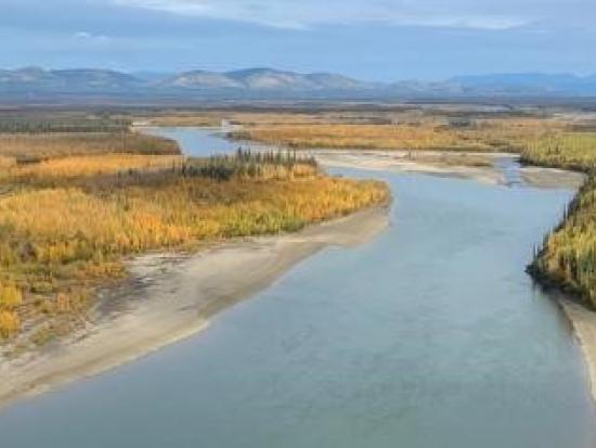 River running through tall yellow/green grasses