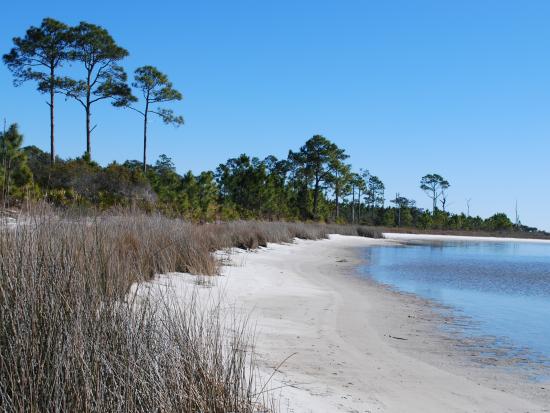 Little Lagoon shoreline 