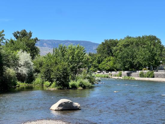 River landscape photo with green trees and mountains