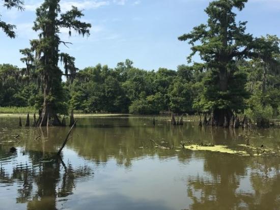ORDA Devils Swamp Lake Superfund Site