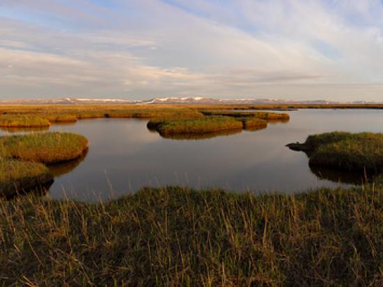Kigigak Island, Yukon Delta National Wildlife Refuge