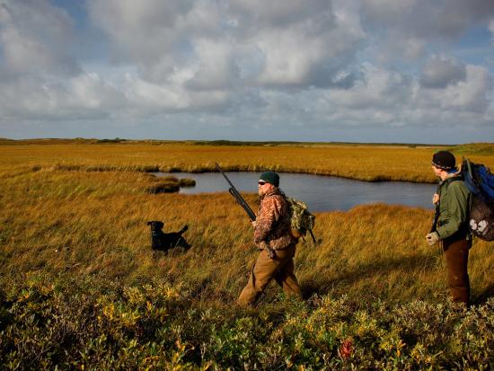 Hunters and a dog walking on a national wildlife refuge.