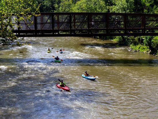 Kayakers floating in the river beneath a bridge. 