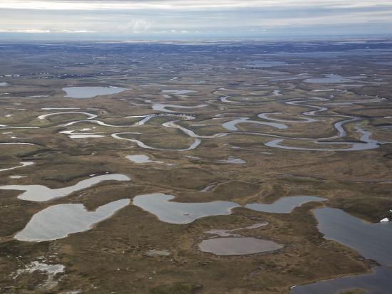 Aerial view of wetland area