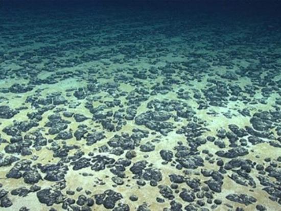 View of ocean floor. 