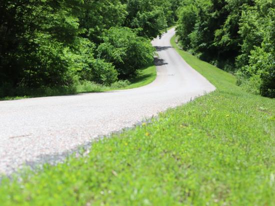 A section of road surrounded by trees and green grass