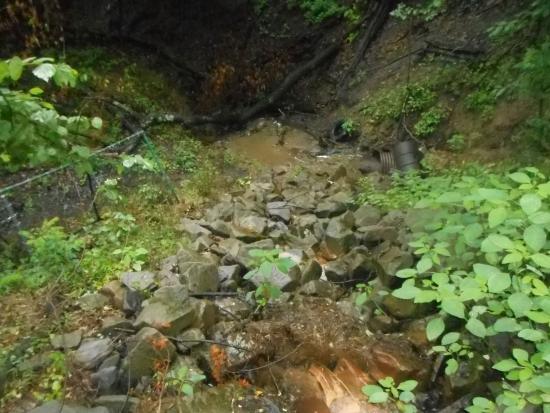 Green rocky area with water running through pipe. 