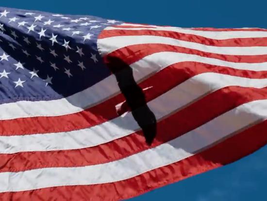 An American flag with an eagle in front of it