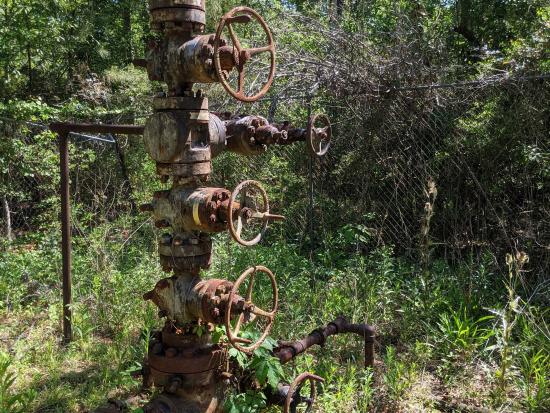 Orphaned well in grassy wooded area. 