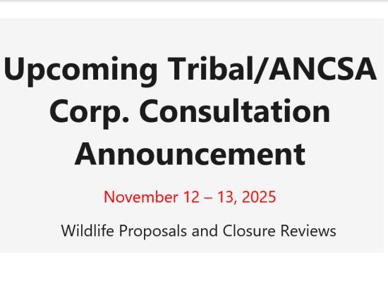 Consultations