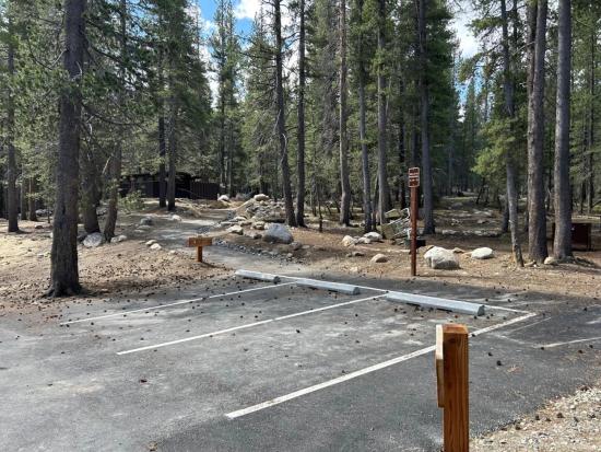 Forested parking area and path adjacent