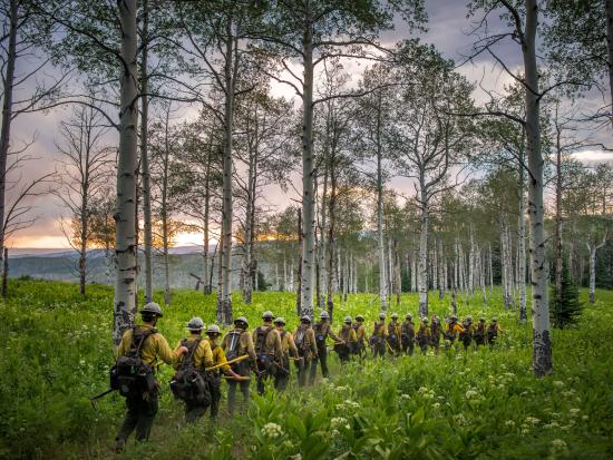 Group of firefighters walk on grassy trail towards wooded mountain area. 