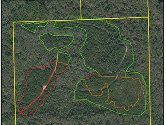 McGirts Creek Park Restoration Area