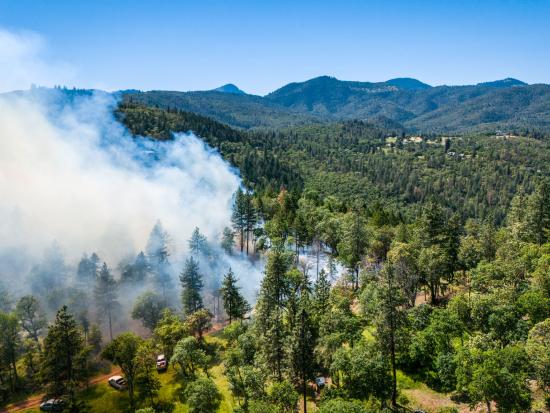 An aerial view shows a verdant forest with distant forested peaks on a cloudless, sunny day. To the right, the forest is dotted with homes and grass fields. To the left, smoke rises from the trees. Wildland fire trucks are parked alongside a dirt road that borders one side of the fire.