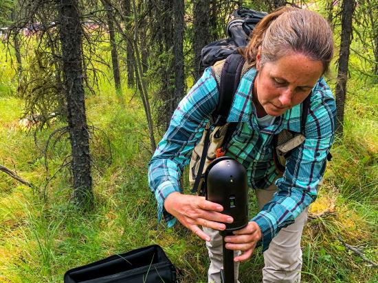 A woman crouches in yellow-green grass and manipulates a sleek, black, knee-high devise with a cylindrical top with several indicator lights that sits on a pole. The corner of a black case is visible on the ground beside her. Directly behind her are a cluster of trees with tangled branches. Beyond the trees, parked vehicles are just visible.