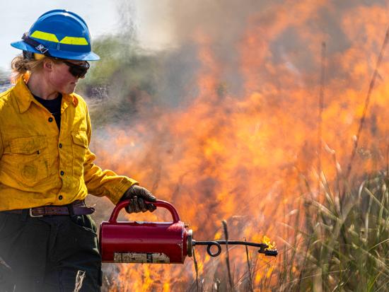 A woman in wildland firefighter gear holds a lit drip torch toward green chest-high vegetation. Behind her, orange-yellow flames rise toward a clear sky. The air around her is distorted by a thick heat haze.