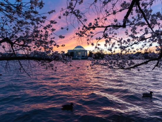 Tidal Basin at sunset