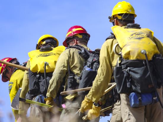 Four wildland firefighters wearing packs and carrying hand tools hike away from the camera under a clear blue sky with the tips of dry grass just visible in the foreground.