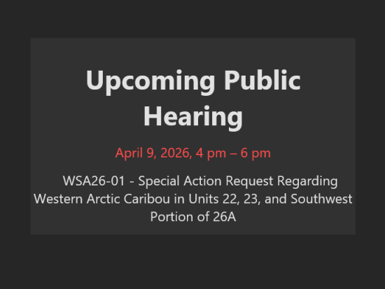 public hearing