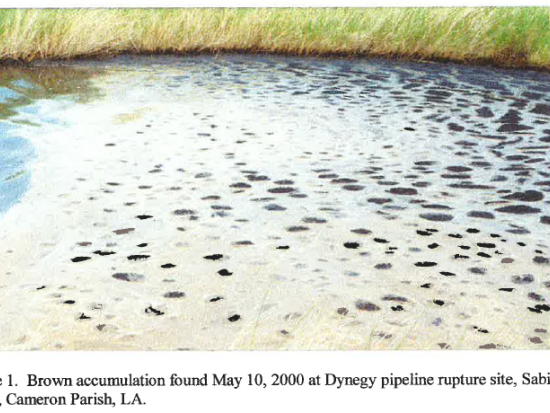  Dynegy Pipeline Rupture at Sabine National Wildlife Refuge