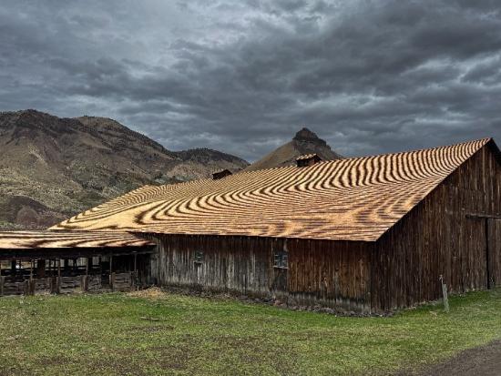 Northside view of the Cant barn and adjacent sheep pens following the roof restoration.