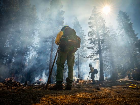 A wildland firefighter, pictured from the ground looking up, stands with his back to the camera on the exposed earth of a clearing amid towering evergreen trees. Bright sunlight illuminates the smoke filling the air. On the forest floor ahead of him, burn piles glow with low flames while tendrils of denser smoke rise into the air. Another wildland firefighter stands close to one burn pile while others stand off to the side near a vehicle. A hose snakes across the ground toward the burn piles.