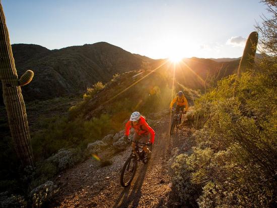 Mountain biking