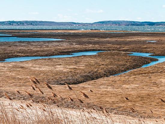 River running through tall brown grasses and mountains in the distance.