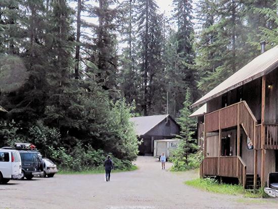 A dirt road leading to three wooden buildings and large pine trees in the distance. 