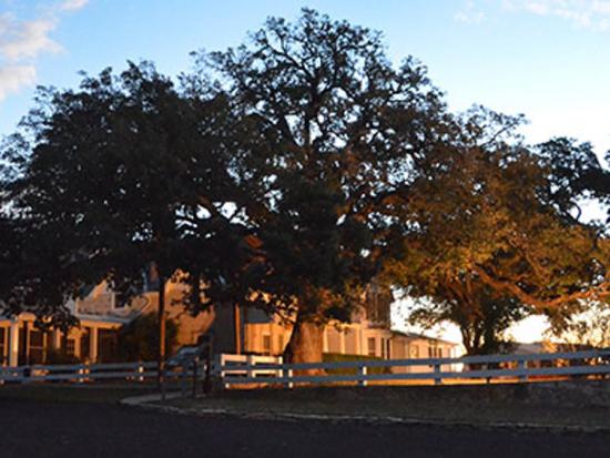 Texas White House at Sunset