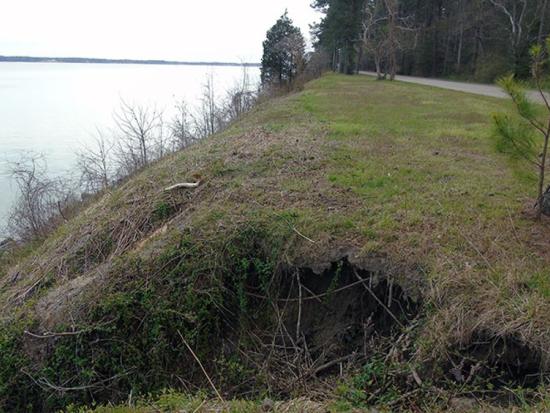 Shoreline erosion of grassy hillside along a paved road and a waterway 