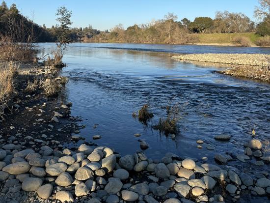 Lower American River, CA