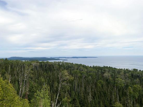 A view of Lake Chippewa in Northern Minnesota surrounded by trees and a blue sky
