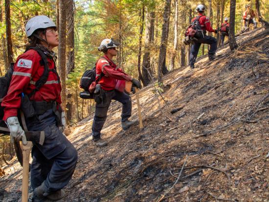 Firefighters stand on a burned slope on the North Complex Fire