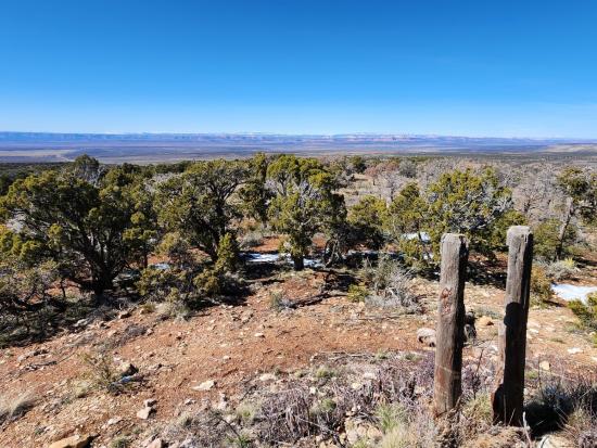 View looking North of surrounding Northwest unit showing green desert vegetation. 