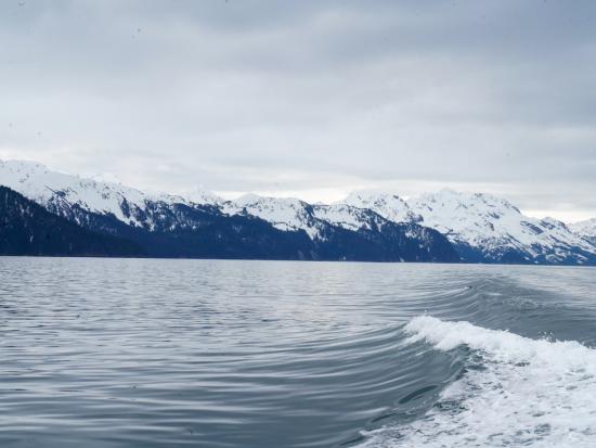 A view of the ocean and glaciers at Kenai Fjords National Park