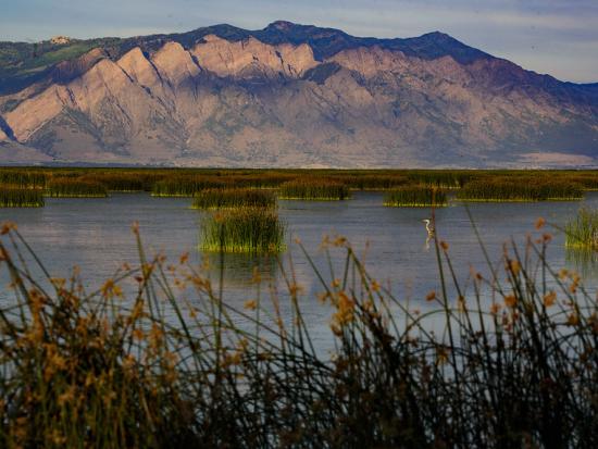 Landscape near sunset of Bear River Refuge with water and mountain in background.