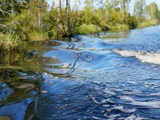Ripples in a river are flowing past a bank with green grass and trees