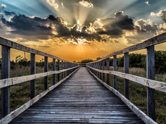 boardwalk over refuge