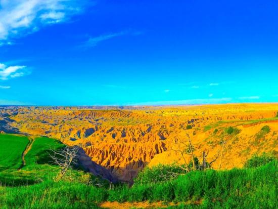 Photograph of a landscape on lustre paper by Galen LaRoche.