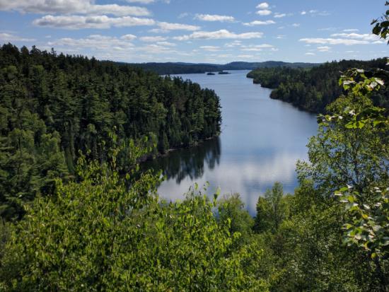 A clear blue lake in the middle of a forest.