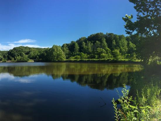 Dark blue water surrounded by green foliage at Scour Holes at Overton Bottoms North, Big Muddy National Fish and Wildlife Refuge.