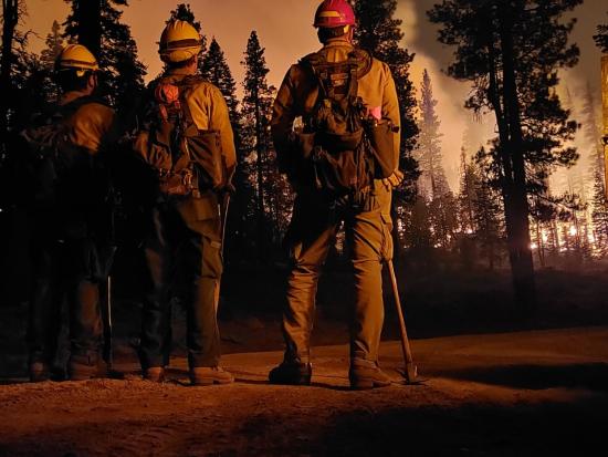 Wildland firefighters monitor a fire in a forest.