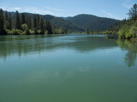 Body of water reflecting green evergreen trees and mountains