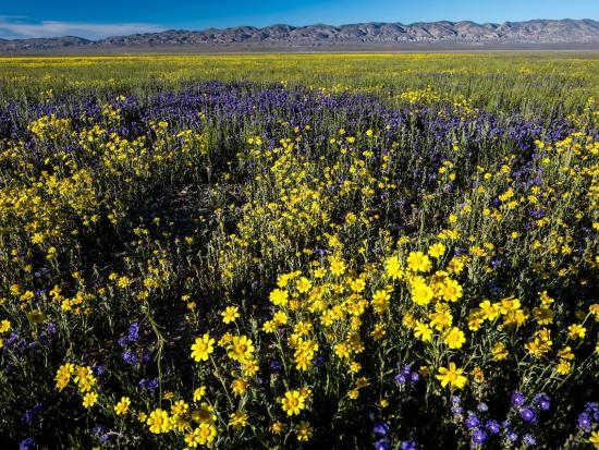 A view of Carrizo Plain National Monument