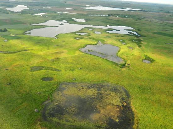 An aerial view of a large grassland easement in the Sand Lake Wetland Management District 