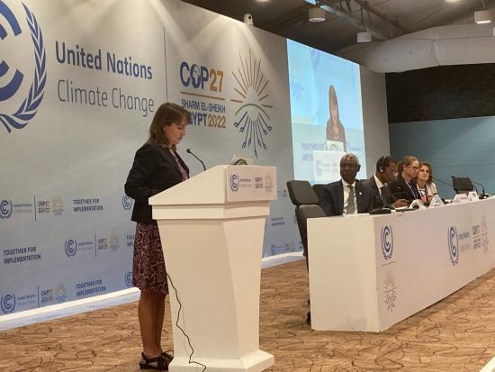 Assistant Secretary Trujillo speaks at a podium at COP27 of the UNFCCC in Egypt.