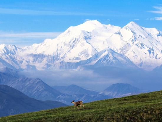 Denali National Park and Preserve