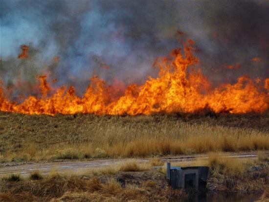 A view of a wildland fire with gray and black smoke